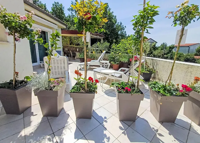 Vlasta-3 By Interhome Apartment