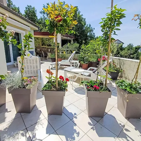 Vlasta-3 By Interhome Apartment